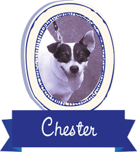 Chester